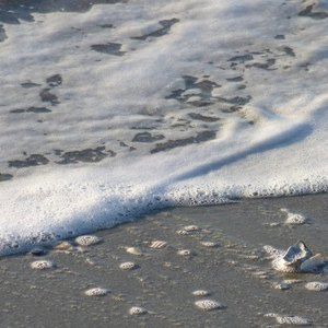 Meet your Posher, Court